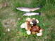Truites et bolets 