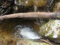 DSC09655-2