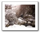 DSC00585