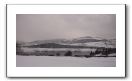 DSC00595